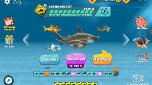 хангри Шарк мега обновление новые акулы и купил акулу молота