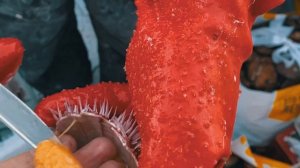 КАК ПРАВИЛЬНО ЧИСТИТЬ МОРСКОГО ЕЖА? МАСТЕР-КЛАСС ОТ КАПИТАНА СТАСА! РЫБАЛКА НА КОЛЬСКОМ ПОЛУОСТРОВЕ