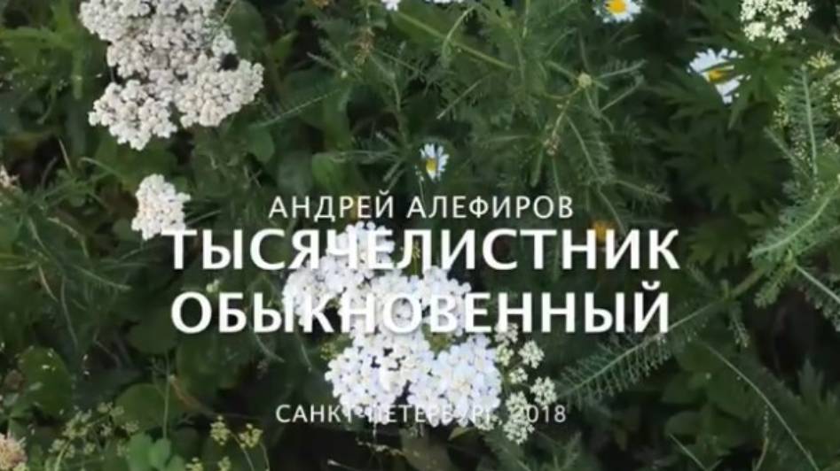 Тысячелистник обыкновенный, Алефиров А.Н. смотреть онлайн