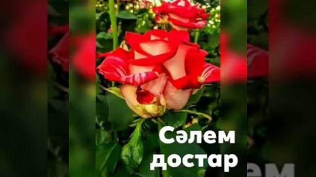 12 февраля 2021 г. смотреть онлайн