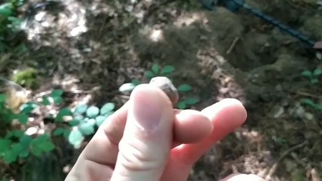 Коп С Металлоискателем ✔️ В Лесу ✔️ Находки Есть ✔️ смотреть онлайн