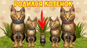Симулятор КОТА и КОШКИ #12 Родился КОТЁНОК и битва с БОССОМ енотом