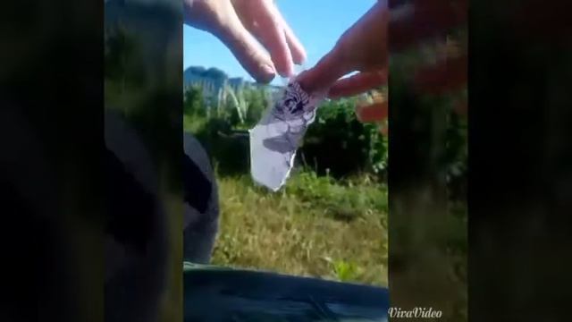 Как быстро нарисовать рисунок.ЗАДОМ НАПЕРЁД CHALLENGE смотреть онлайн