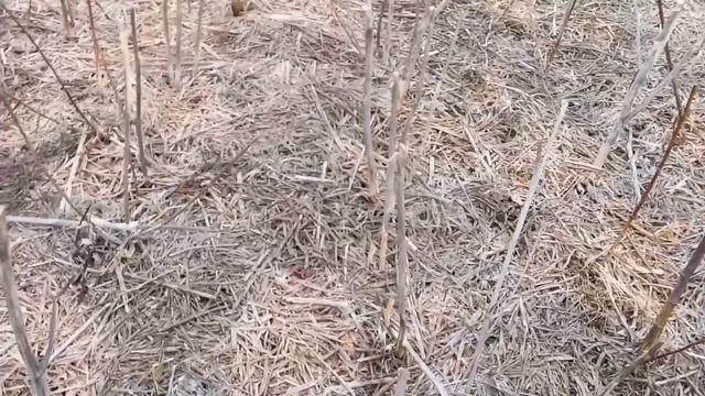 Сборное видио 20.03.19 смотреть онлайн