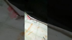 Тойота YARIS-как открыть багажник