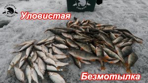 Весенняя ловля ОКУНЯ и ПЛОТВЫ на БЕЗМОТЫЛКУ💥 Самые УЛОВИСТЫЕ МОРМЫШКИ в этот день💪