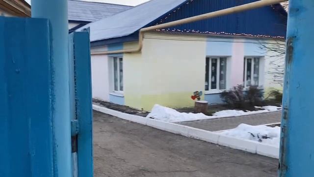 В Вольске к детсаду вместо подрядчика пришли собаки смотреть онлайн
