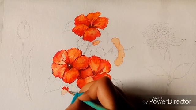 Watercolor Flowers (hibiscus,tulip,hydrangea) смотреть онлайн