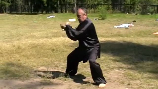 Мастер класс. Тайцзицюань стиля Чэнь. 17,18,19 шаг формы. смотреть онлайн