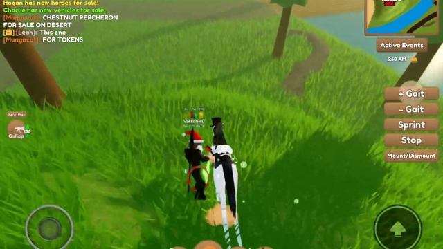 How to use treasure finding Shovel Wild Horse Islands Roblox смотреть онлайн