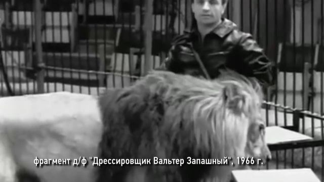 90 лет со дня рождения Вальтера Запашного. Интервью братьев Запашных в программе "Календарь" на ОТР смотреть онлайн