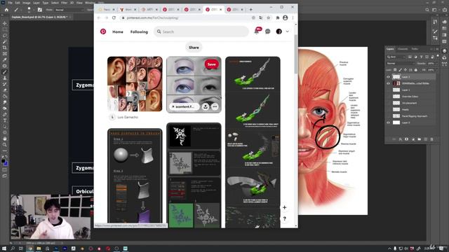 8. Face Muscles And Topology смотреть онлайн