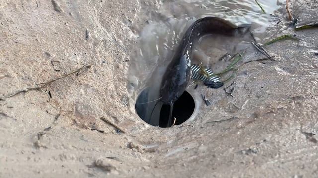 wow! Best Fishing With Electric Fan Guard Deep Hole Fishing Trap Catch a lot of fish in cambodia смотреть онлайн