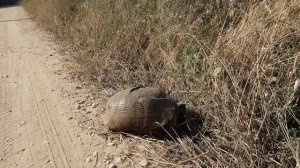 На машине по Дагестану ? Опасный Дагестан и ужасные дороги: ПРАВДА или стереотип?