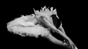 Умирающий лебедь - Анна Павлова