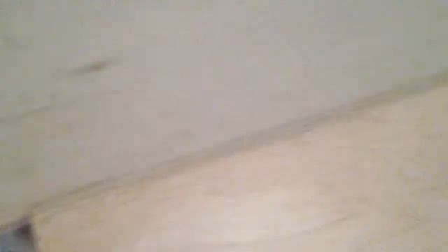 Разведение корелл. Первая кладка, 1-е яйцо. 26.07.17 смотреть онлайн