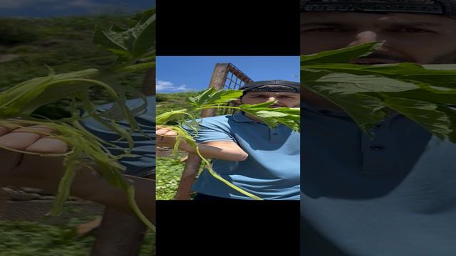 Кто знает? #Дагестан