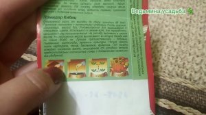 Томат Загадка ?  Томат Кибиц ?  Рассказываю о выращивании  на личном опыте.
