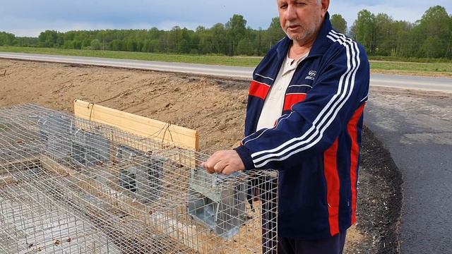 Секция для кроликов. смотреть онлайн