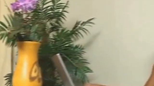 A Consulta do Alexandre Senna смотреть онлайн