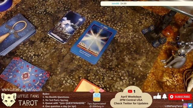 The Anubis Oracle Flip Through + April Reading Stream смотреть онлайн