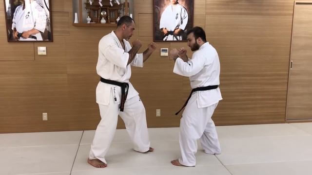 Combination #9. Yakusoku Kumite смотреть онлайн