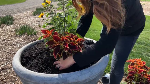 Planting Full Sun Containers With Beautiful Brand New Annual Varieties! 🌸🌟🌿 // Garden Answer