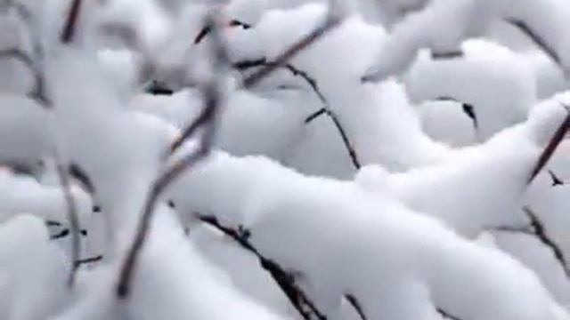 Я подарю тебе любовь...... смотреть онлайн