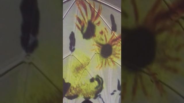 Organ Duo Belcanto: Moon Sonata, Adagio, Beethoven. Органный дуэт Belcanto: Лунная Соната, Бетховен