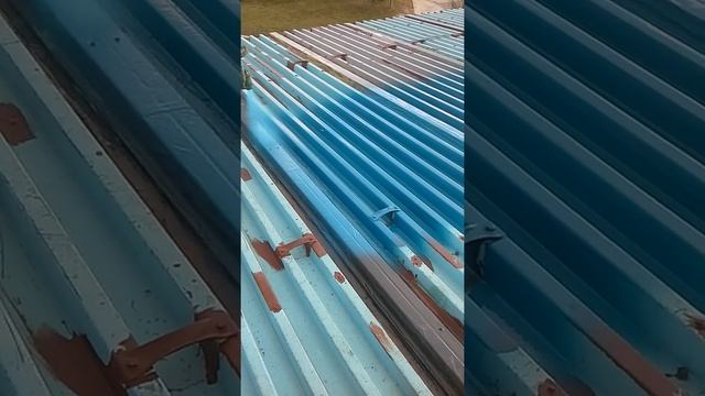 Гидроизоляция кровли полимочевиной . смотреть онлайн