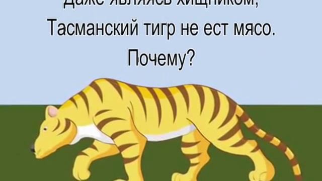 Загадка №1::Тасманский тигр смотреть онлайн