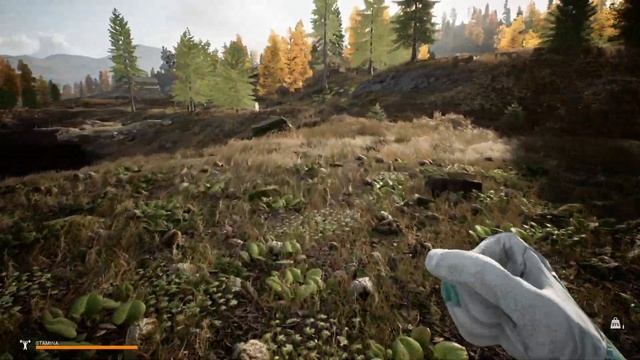 ОПЯТЬ ОН, СТРОИМ БАЗУ У ОЗЕРА ▶️ MIST SURVIVAL S2 #15 Survival Game