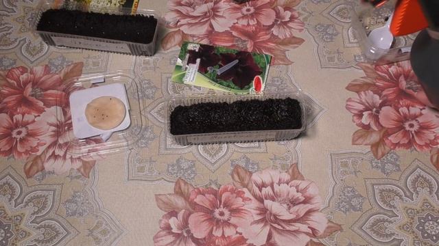 Посев петунии быстро и просто смотреть онлайн