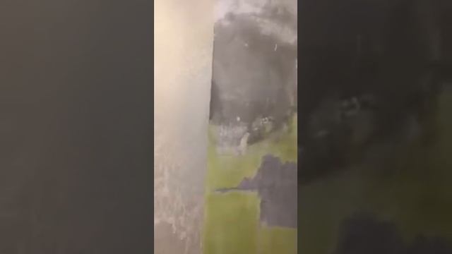 Чудо отделочники смотреть онлайн