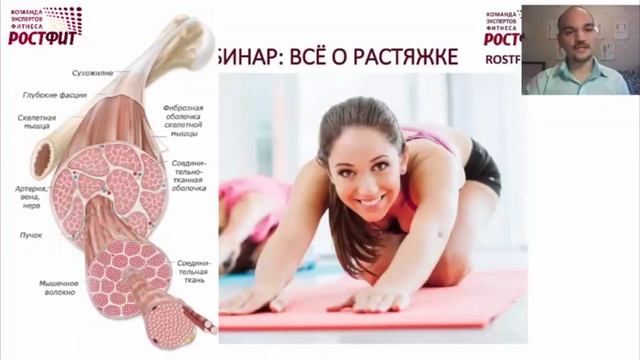 Вебинар: Стретчинг. Часть 1