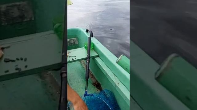 Рыбалка на озере Боровое Казахстан смотреть онлайн