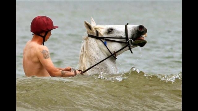 Сочи сегодня (16.08.14): +35...а как Вы спасаетесь от жары? смотреть онлайн