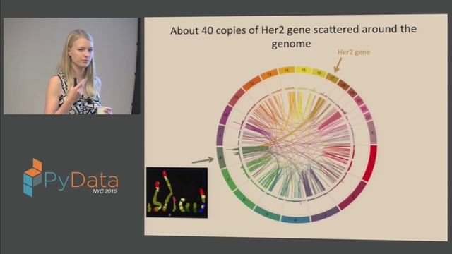 Maria Nattestad: How Big Data is transforming biology and how we are using Python to make sense смотреть онлайн