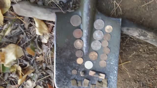 Коп 2020. Старый лес 5. Первый биллон. ACE250(MD6250)