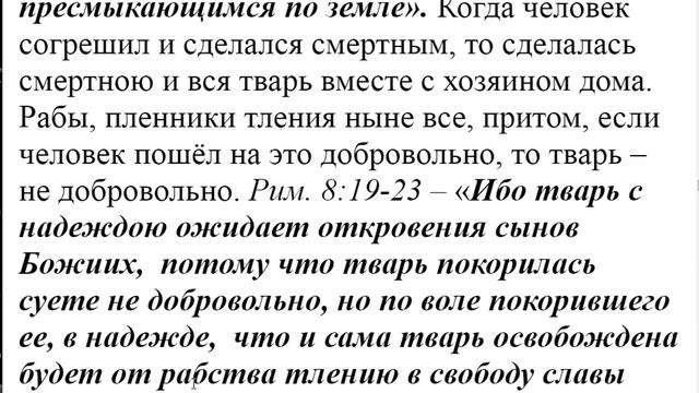 190. Можно ли топить слепых котят? смотреть онлайн