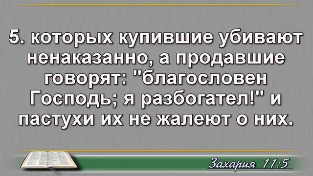 24 ноября смотреть онлайн