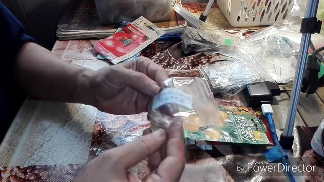 Собрала семена томатов на 2023 год. смотреть онлайн