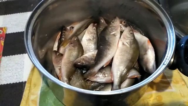 как я вялю окуня,осенью!в помощь сушилка для овощей смотреть онлайн
