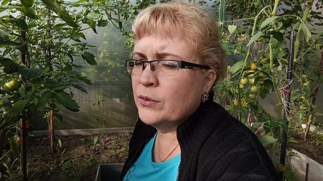 Собрали вишню, помидоры и опустили насос..... смотреть онлайн