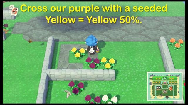 How to Breed Blue Roses New Horizons GUARANTEED (CHECK THE PINNED COMMENT!) смотреть онлайн