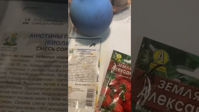 Чем обработать семена? У меня суспензия хлореллы, эпин, сок Алое и снег для прорастания мелких семя смотреть онлайн