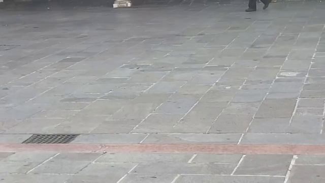 как выбрать тренч