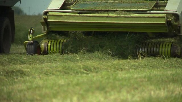 Сезон смотреть онлайн