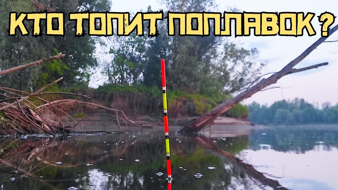 Рыбалка в яме ШОКИРУЕТ! КРУПНЯК ТОПИТ поплавок в кустах! ЭТО лещ? смотреть онлайн