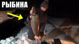 Как коптить сазана в коптилке. Встреча первых гостей. [Жизнь в деревне]